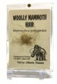mammoth hair 60 4x2.75 lucite